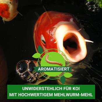 Nahaufnahme eines lebhaften rot-weißen Koi-Fisches mit Blasen. Text: "Aromatisiert" und "Unwiderstehlich für Koi."