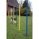 Ein verspielter Hund läuft durch eine Reihe von bunten Agility-Stangen in einem grasbewachsenen Garten, mit einem Haus und Bäumen im Hintergrund.
