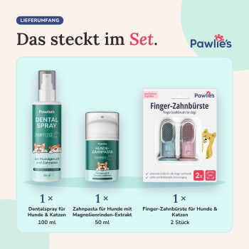 Pawlie's Werbung mit einer Katze und drei Hunden unterschiedlicher Größen, die mit S, M und L beschriftet sind, mit dem Text "FÜR HUNDE & KATZEN."