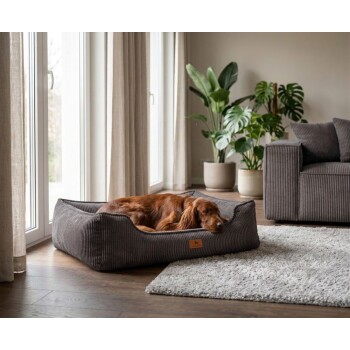 Brauner Hund schläft in einem grauen Cord-Hundebett mit Lederetikett „KNUFFELWUFF“ im Wohnzimmer.