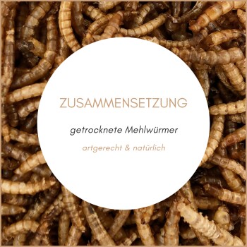 Nahaufnahme von getrockneten Mehlwürmern mit einem schwarzen Kreis, der deutschen Text über Zusammensetzung und natürliche Fütterung enthält.