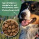 Ein hellbrauner Hund frisst aus einer Edelstahlschüssel. Einblendung zeigt runde Kroketten. Text: "Hypoallergenes Hundefutter auf Huhn-Basis."
