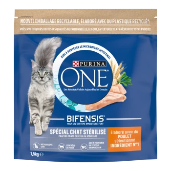 Sac Purina ONE Bifensis (1,5 kg) avec chat gris à poil long, image de poulet, «Spécial Chat Stérilisé» et branding.