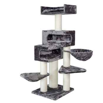 RHRQuality Kratzbaum Birma Zitadelle