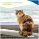 Dreifarbige Katze auf einem weißen Geländer am Meer; deutscher Text: „So fördert ihr den Stoffwechsel eurer Lieblinge“ und „Canina“.