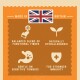 Infographic on pet food benefits: British-made, balanced fibers, hypoallergenic, gentle on tummies, boosts immunity.