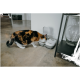 Eine dreifarbige Katze schnüffelt an einem Cat Mate automatischen Futterspender auf einem Betonboden, mit einer Glasvase auf einem nahegelegenen Regal.
