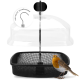 Ein Vogelhaus mit einer klaren Kuppel und einem schwarzen Netzboden, mit einem Rotkehlchen, das in der Nähe sitzt. Der Text lautet "inklusive Aufhängung".