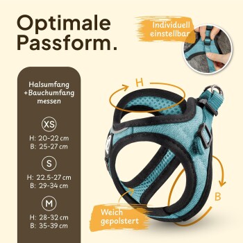 Teal verstellbares Haustiergeschirr mit weicher Polsterung, zeigt die Größentabelle für XS, S und M sowie Anweisungen zum Messen des Hals- und Bauchumfangs.
