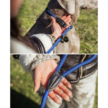 Nahaufnahme des Profils eines Hundes mit einem schwarz-braunen Fell, der eine blaue Leine mit einem silbernen Clip trägt und nach oben schaut.