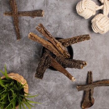 Natürliche Hundekauartikel in verschiedenen Formen umgeben eine schwarze Schüssel auf einer grauen Oberfläche, mit einer kleinen grünen Pflanze in einem geflochtenen Topf in der Nähe.