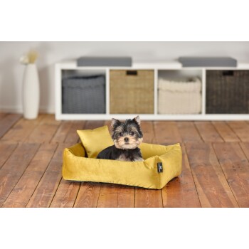 ® Hundebett inkl. Gratis-Beigabe, Kuschelsofa gelb S