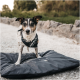 Ein Hund, der ein kariertes Geschirr trägt, steht auf einer großen, dunkelgrauen Haustiermatte mit Wassertropfen darauf, vor einem natürlichen Außenhintergrund.