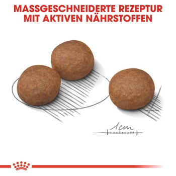 Drei runde, braune Haustierfutterkibbles, die auf einer skizzierten Umrisslinie mit dem Text "MASSGESCHNEIDERT REZEPTUR MIT AKTIVEN NÄHRSTOFFEN" angezeigt werden.