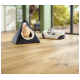 Un chat orange duveteux regarde par un lit pour animaux triangulaire gris, tandis qu'un chat gris se détend dans un lit pour animaux rond et moelleux à proximité.
