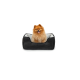Ein flauschiger Pomeranian-Hund sitzt bequem in einem plüschigen, dunkelgrauen Haustierbett mit einem hellen Innenraum.