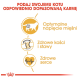 Infografik über maßgeschneiderte Katzenfutter mit einem Katzen-Icon und Vorteilen: optimale Muskelspannung, gesunde Knochen und Gelenke sowie ein gesundes Herz.
