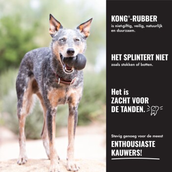 Blue heeler hond met zwart KONG-speelgoed; zijtekst luidt 'KONG-RUBBER', 'HET SPLINTERT NIET', 'ENTHOUSIASTE KAUWERS'.