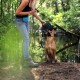 Hundehalsband, Retrieverhalsband blau S
