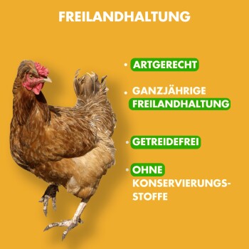 Ein braunes Huhn auf einem hellgelben Hintergrund mit Text: "FREILANDHALTUNG," "ARTGERECHT," "GETREIDEFREI," und "OHNE KONSERVIERUNGS-STOFFE."
