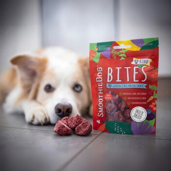 Rote Packung mit Aufschrift 'SmoothieDog BITES' gefriergetrocknete Hundesnacks (Rind) auf Fliesenboden, im Hintergrund unscharf ein liegender Hund.