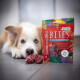 Rote Packung mit Aufschrift 'SmoothieDog BITES' gefriergetrocknete Hundesnacks (Rind) auf Fliesenboden, im Hintergrund unscharf ein liegender Hund.