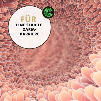Nahaufnahme einer Illustration der Darmschleimhaut mit dem Text „Für eine stabile Darm-Barriere“ und einem grünen runden Logo.