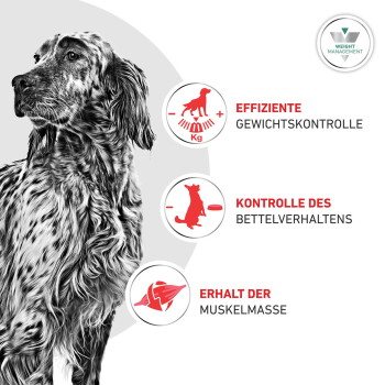 Schwarz-weißer Hund links; rote Symbole mit deutschen Beschriftungen: 'Gewichtskontrolle', 'Bettelverhalten', 'Muskelmasse'.