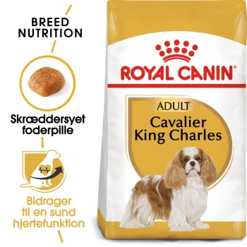 Torba karmy dla psów Royal Canin Adult Cavalier King Charles, z ilustracją krokietów, etykietą żywieniową dla rasy i zapewnieniem zdrowia serca.