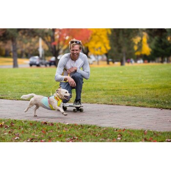 Eine Person auf einem Skateboard hockt auf einem Weg in einem Park, während ein kleiner Hund in einem bunten Geschirr fröhlich neben ihnen läuft.