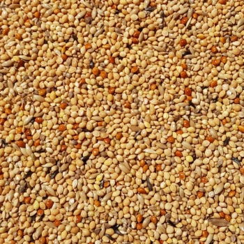 Exotenfutter - hochwertiges Mischfutter für exotische Finken 2,5 kg