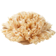 Natürliche Katzenkratzmatte aus zerkleinerten Holzfasern, die einer Blume ähnelt, mit einem Juteboden für Stabilität.