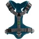 Teal-Hundegeschirr mit grauen Riemen, mit verstellbaren Schnallen und metallenen D-Ringen zur Leinenbefestigung.