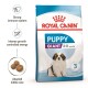 Royal Canin Puppy Giant dog food bag with a St. Bernard puppy, promoting strong immunity, controlled energy, and adapted kibble size.