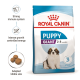 Royal Canin Puppy Giant dog food bag with a St. Bernard puppy, promoting strong immunity, controlled energy, and adapted kibble size.