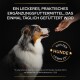 Ein glücklicher Hund schaut auf eine Hand, die einen Leckerbissen anbietet, mit Text: "Ein leckeres Ergänzungsfuttermittel" und "100% der Hunde lieben es."