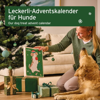 Leckerli-Adventskalender für Hunde, mit natürlichen Hundeleckereien, frei von Getreide und Konservierungsstoffen, entwickelt mit Tierexperten.