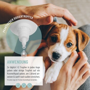 Eine Person, die Augentropfen in das Auge eines Hundes gibt, mit einer Tropfflasche und Anweisungen auf Deutsch zur Anwendung, die besagen, 1-2 Tropfen täglich anzuwenden.
