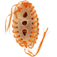 A dog chew toy shaped like a football, featuring orange and white laces, with holes for treats visible inside.