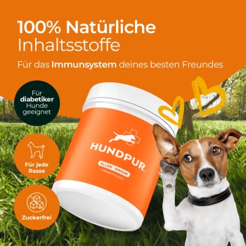 100% natürliche Inhaltsstoffe für das Immunsystem deines besten Freundes. Hundpur, geeignet für diabetische Hunde, für jede Rasse, zuckerfrei.