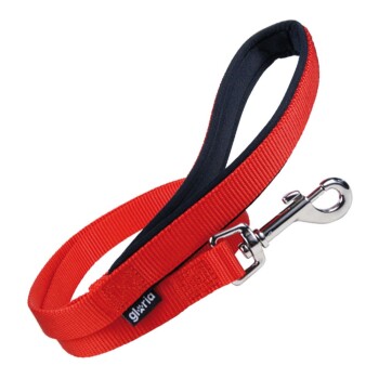 Hundeleine 1.5 x 120 cm rot