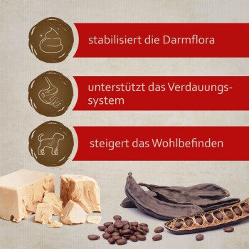 Bild von Tierfutter-Zutaten, das drei Vorteile auf Deutsch zeigt: "stabilisiert die Darmflora," "unterstützt Verdauung," "steigert Wohlbefinden."