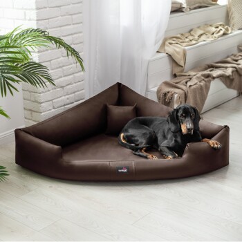 Ein schwarzer Hund liegt bequem auf einem braunen dreieckigen Haustierbett mit einem kleinen Kissen, in einem gemütlichen, gut beleuchteten Raum mit Pflanzen und weichen Textilien.