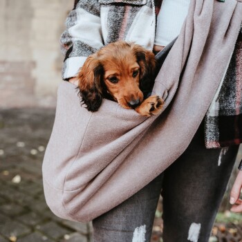 Eine Person in einer karierten Jacke hält einen kleinen Hund in einer weichen, beigen Haustiertragetasche, die eine gemütliche Transportoption für Haustiere zeigt.