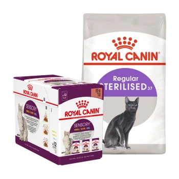 Emballage de nourriture pour chat Royal Canin présentant une boîte de 12 sachets étiquetés "Sensory" et un sac de "Regular Sterilised 37."