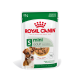Royal Canin Mini Adult Hundefutterbeutel, 85g, mit Stückchen in Soße, geeignet für Hunde über 10 Monate, Gewichtserhaltung.