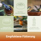 Garten-Vogel-Collage (Meisen, Rotkehlchen) beim Füttern und Trinken; deutscher Text: 'Empfohlene Fütterung' und weitere Hinweise.