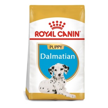 Dalmatian Puppy 12kg