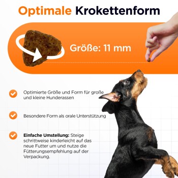 Bild eines Hundes, der nach einem Futterstück greift, mit Text, der die optimale Form und Größe der Kroketten (11 mm) für alle Hunderassen hervorhebt.