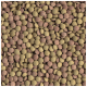 Vue rapprochée d'une multitude de petites granulés de nourriture pour animaux ronds de deux couleurs : marron clair et marron foncé, éparpillés sur une surface.